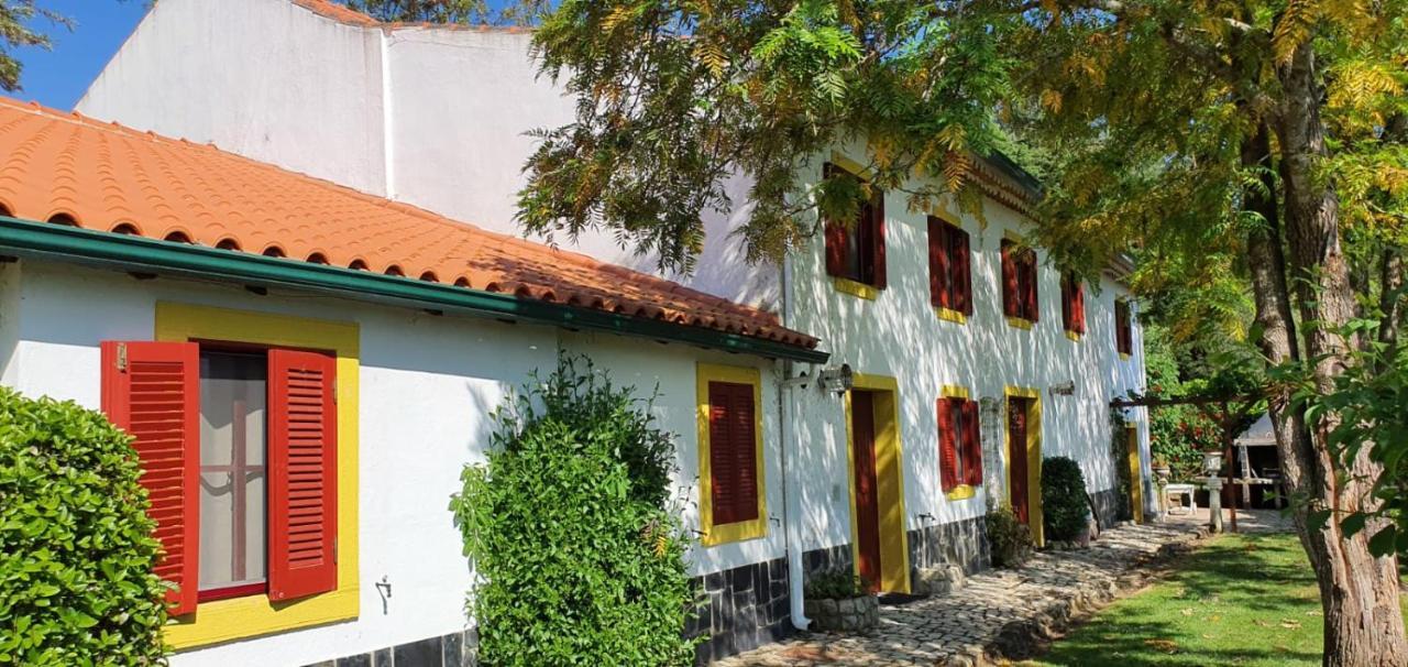 Quinta Flores Ferreira do Zezere Luaran gambar