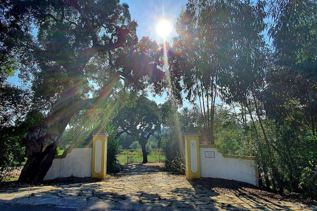 Quinta Flores Ferreira do Zezere Luaran gambar
