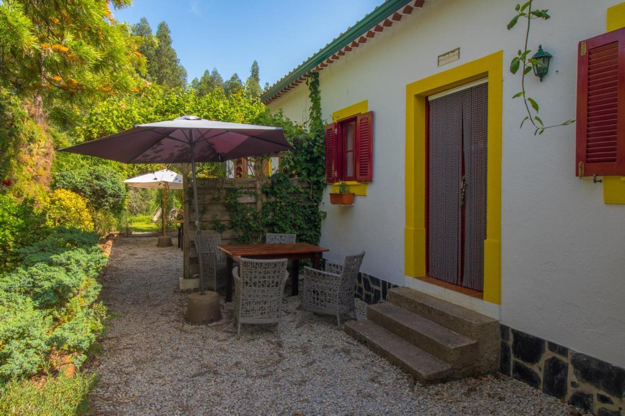 Quinta Flores Ferreira do Zezere Luaran gambar