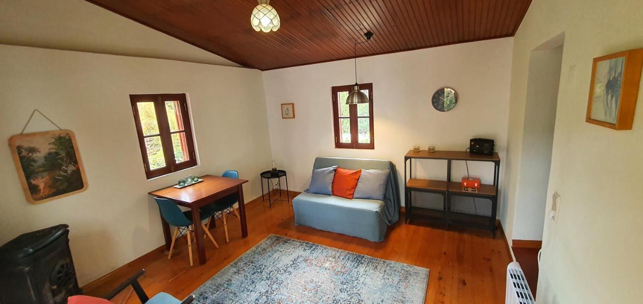 Quinta Flores Ferreira do Zezere Luaran gambar