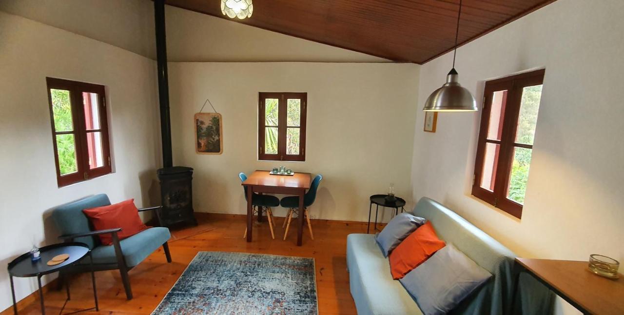 Quinta Flores Ferreira do Zezere Luaran gambar
